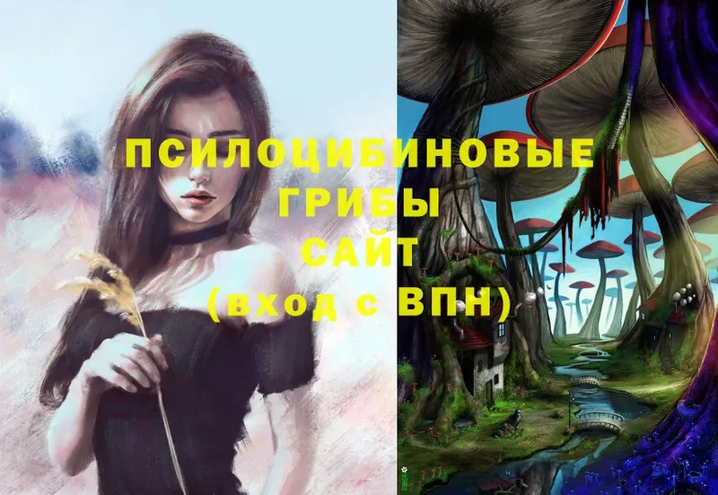 купить наркоту  omg сайт  Галлюциногенные грибы Psilocybe  Владикавказ 